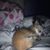 Krystal Pryde's profile image