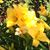 Kathy Halford's profile image
