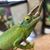 Matt Esrock's profile image