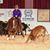Laura Osborne Campbell's profile image