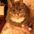 Muriel Moore's profile image