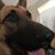 Kim S. Spencer's profile image