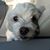 Kathleen Wilson's profile image