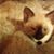 Valerie Forsythe's profile image