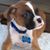 Denny Ide Jr.'s profile image