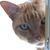 Didier Monge's profile image