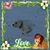 Kathy Hudgins Lochiatto's profile image
