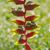 Judy Purma's profile image