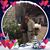 Nana Mejia's profile image