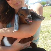 Mitra Gregg's profile image