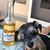 Robin Wilson's profile image