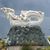 Lisa Shenkle Schiappacasse's profile image
