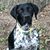 Ron Laura McCracken's profile image