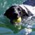Susan Bennett's profile image