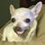 Roger Robertson's profile image