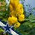 Maryann Gray's profile image