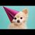 Sherry Gallaher Hatcher's profile image