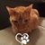 Michelle Jacques Bosak's profile image