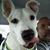 Sharon McGann Salvaggio's profile image