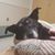 Jeffrey Lee Roman's profile image