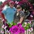 Kim N Rob Romero's profile image