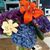 Josephine March's profile image