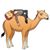 Chuck Clark's profile image