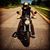 Weldin D. Metals's profile image