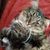 Mary Campano's profile image