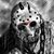 Jasson Baker's profile image
