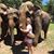 Jill Thomas's profile image