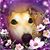 Amanda Peters's profile image