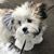 Georgiana Tzu's profile image