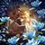Patti Ranes-baumgart's profile image