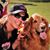 Julie Sanders's profile image