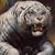 Tiger Katt's profile image