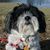 Dolly Payton's profile image