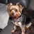 Cindy Peto's profile image