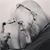 Scott Binkley's profile image
