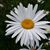 Julissa Gonzalez's profile image