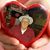 Wesley Follis's profile image