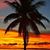 Patti Niday's profile image