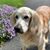 Mary Margaret Gallagher Keenan's profile image