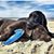 Kevin Dietrich's profile image