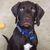 Heather Mewhinney's profile image