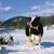 Susan Wheeler Holt's profile image