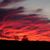 Lori Arthur Mccoy's profile image