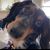 Andy Hermosillo's profile image