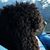 Tracy Turner's profile image