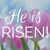 Theletha Collins's profile image
